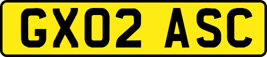 GX02ASC