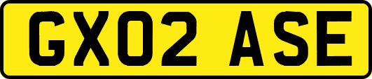 GX02ASE