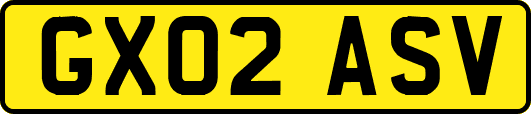 GX02ASV