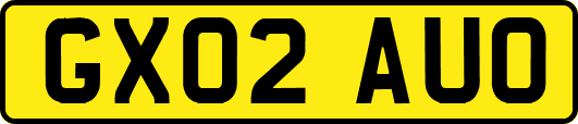 GX02AUO