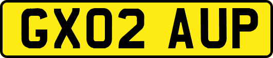 GX02AUP