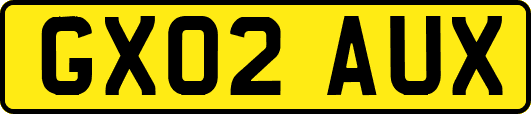 GX02AUX