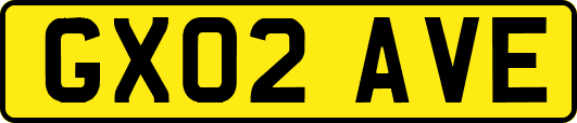 GX02AVE