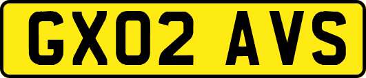 GX02AVS