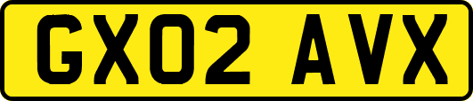 GX02AVX