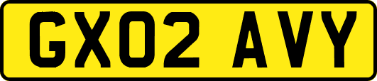 GX02AVY