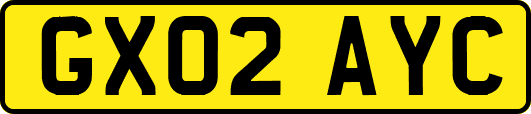 GX02AYC