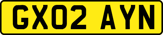 GX02AYN