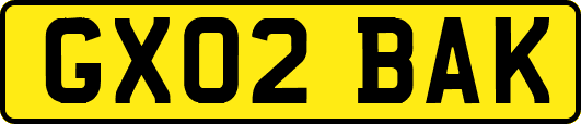 GX02BAK