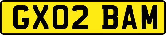 GX02BAM