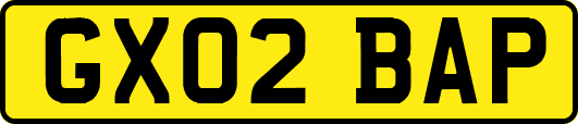GX02BAP