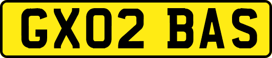 GX02BAS
