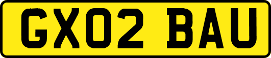 GX02BAU