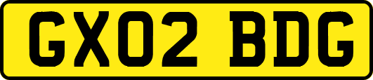 GX02BDG