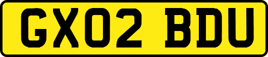 GX02BDU