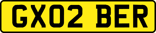 GX02BER