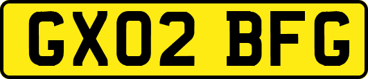 GX02BFG