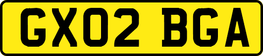 GX02BGA
