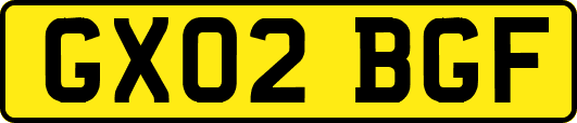 GX02BGF