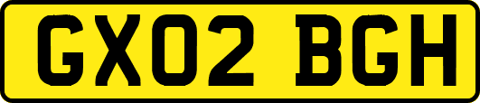 GX02BGH