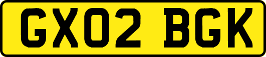 GX02BGK