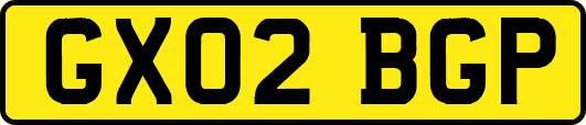 GX02BGP
