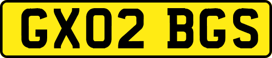GX02BGS