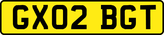 GX02BGT