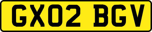 GX02BGV