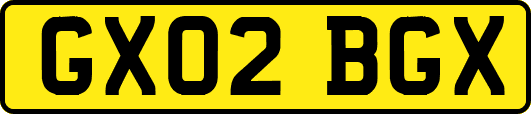 GX02BGX