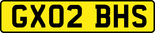 GX02BHS