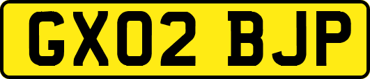 GX02BJP