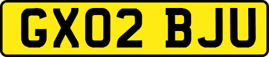 GX02BJU