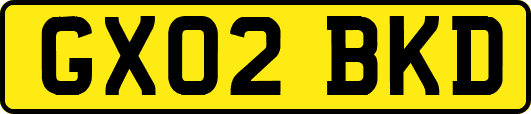 GX02BKD