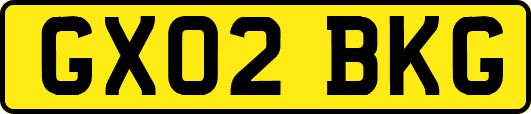GX02BKG
