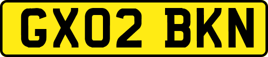 GX02BKN
