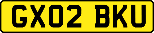 GX02BKU