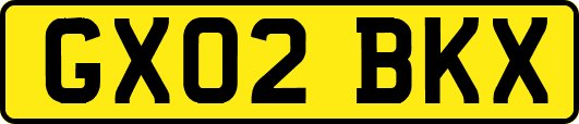 GX02BKX