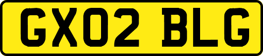 GX02BLG