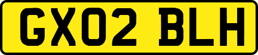 GX02BLH
