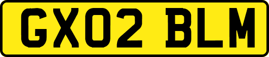GX02BLM