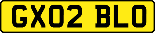 GX02BLO