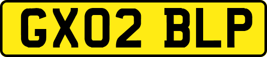 GX02BLP