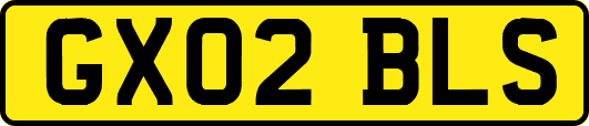 GX02BLS