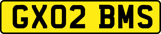 GX02BMS