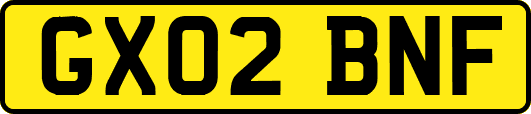 GX02BNF