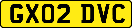 GX02DVC