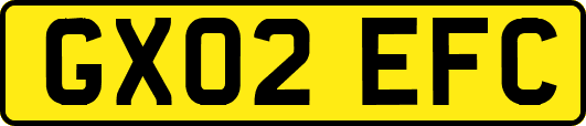 GX02EFC