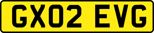 GX02EVG