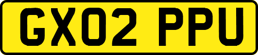 GX02PPU